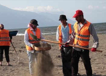 تواصل أعمال تنظيف آثار التسرب النفطي السوري بسواحل هطاي التركية