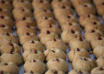 ملاطية “عاصمة المشمش” التركية.. حلوى فريدة من البذور