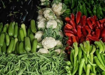 ارتفاع صادرات الخضار والفواكه التركية خلال شهر آب الماضي