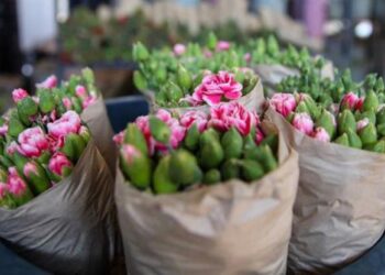 125 مليون دولار قيمة صادرات تركيا من الزهور في 2021