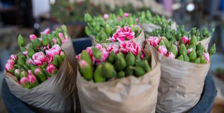 125 مليون دولار قيمة صادرات تركيا من الزهور في 2021