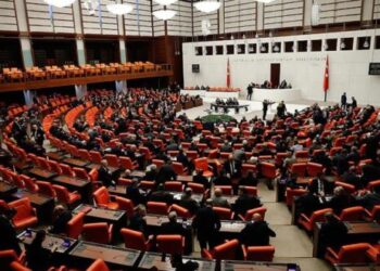 البرلمان التركي يناقش تمديد بعثة الجيش في مالي وإفريقيا الوسطى