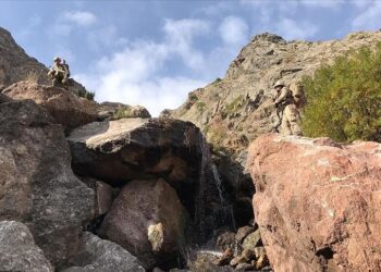 استسلام إرهابي من “بي كا كا” للأمن التركي