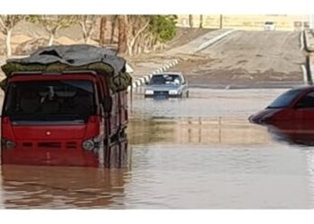 عاصفة في مصر تتسبب بلدغات عقارب وثعابين وانهيار منازل (شاهد)