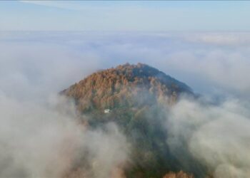 الضباب يرسم لوحات فنية فوق مرتفعات صقاريا التركية