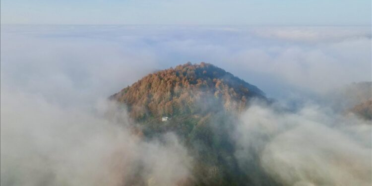 الضباب يرسم لوحات فنية فوق مرتفعات صقاريا التركية