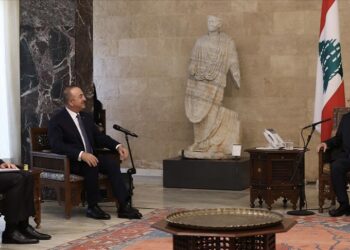 تشاووش أوغلو يلتقي عون في بيروت