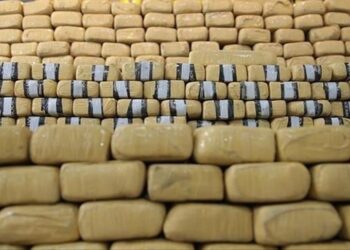 تركيا.. ضبط مهربات بقيمة 500 مليون دولار خلال 10 أشهر