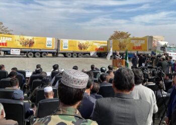 هيئة الإغاثة التركية تقدم 100 طن بذور قمح لأفغانستان