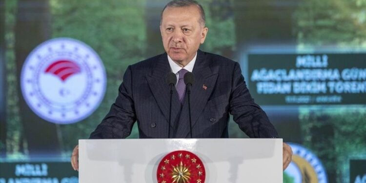 أردوغان: هدفنا تشجير المساحات المحترقة خلال عام واحد