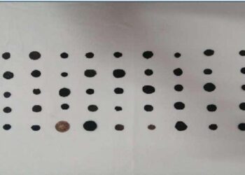 ضبط 45 قطعة نقدية أثرية جنوبي تركيا