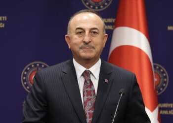 تشاووش أوغلو: تركيا ستواصل الشراكة الفاعلة مع آسيا