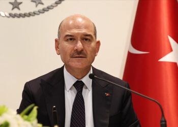 صويلو: عدد الإرهابيين في تركيا انخفض إلى مستوى كبير