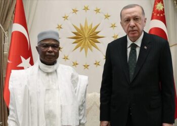 أردوغان يلتقي أمين عام منظمة التعاون الإسلامي