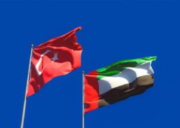 الإمارات تقدم 10 ملايين دولار إلى تركيا لتأهيل مناطق الحرائق