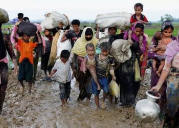 تركيا تقترح تأسيس لجنة لمتابعة أوضاع الأقليات المسلمة بالعالم