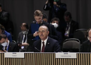 تشاووش أوغلو: يجب حل الأزمة الأوكرانية دبلوماسيا