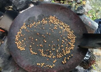 مذاق تركي خاص.. قضامة محمصة في الرمال الساخنة