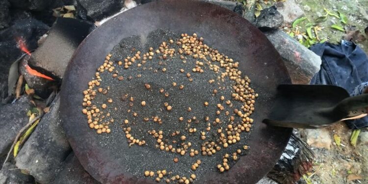 مذاق تركي خاص.. قضامة محمصة في الرمال الساخنة