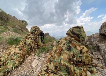 تركيا.. تحييد 6 إرهابيين شمالي سوريا والعراق