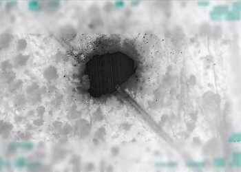 الاستخبارات التركية تحيد قياديين اثنين من “بي كا كا” شمال العراق