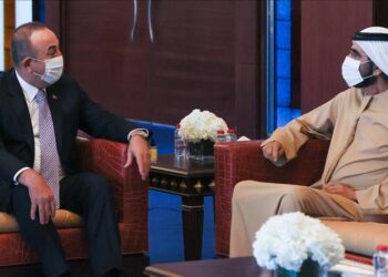 الإمارات.. تشاووش أوغلو يلتقي حاكم دبي