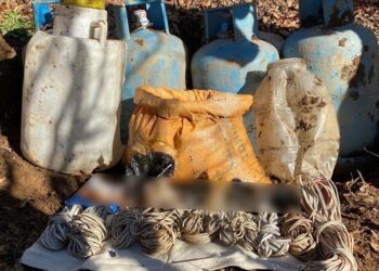 ضبط مستلزمات تابعة لإرهابيي “بي كا كا” شرقي تركيا