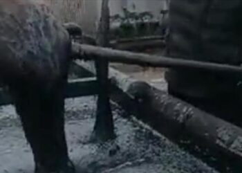 تركيا تكتشف حقلا للنفط بالقرب من الحدود السورية