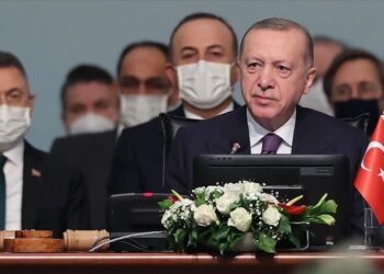أردوغان: سنرتقي بتبادلنا التجاري مع إفريقيا إلى 50 مليار دولار
