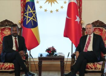 أردوغان يلتقي رئيس الوزراء الإثيوبي في إسطنبول