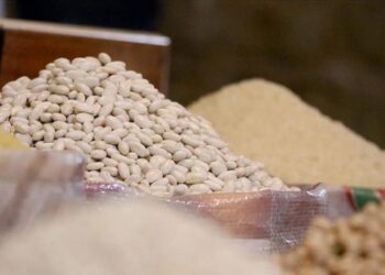 صادرات حبوب الشرق التركي تلامس 2.7 مليار دولار