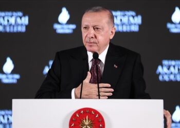 أردوغان: الاقتصاد التركي سيواصل طريقه وفق قواعد السوق الحر