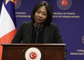 إفريقيا الوسطى: نريد الاستفادة من خبرات تركيا وتجاربها