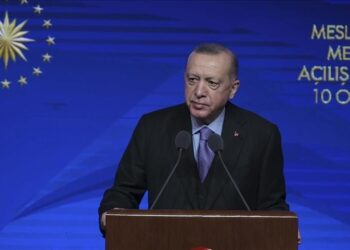 أردوغان: نهدف لضم مليون شاب إلى الثانويات المهنية في تركيا