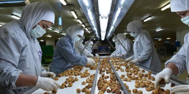 تركيا تجني 263 مليون دولار من صادرات التين المجفف في 2021