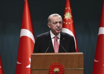 أردوغان: يمكننا التوسط لنزع فتيل التوتر بين روسيا وأوكرانيا