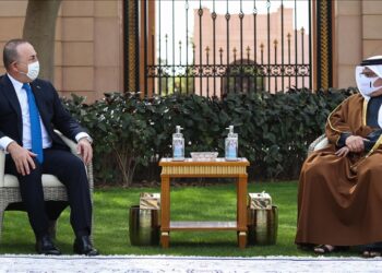 تشاووش أوغلو يلتقي ولي عهد البحرين في المنامة