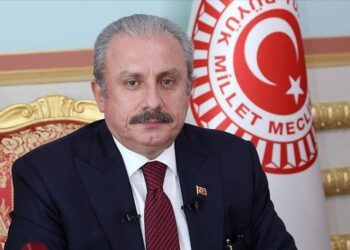 رئيس البرلمان التركي يؤكد تضامن بلاده مع كازاخستان