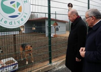 الرئيس أردوغان يتفقد مركزا لرعاية الحيوانات بإسطنبول