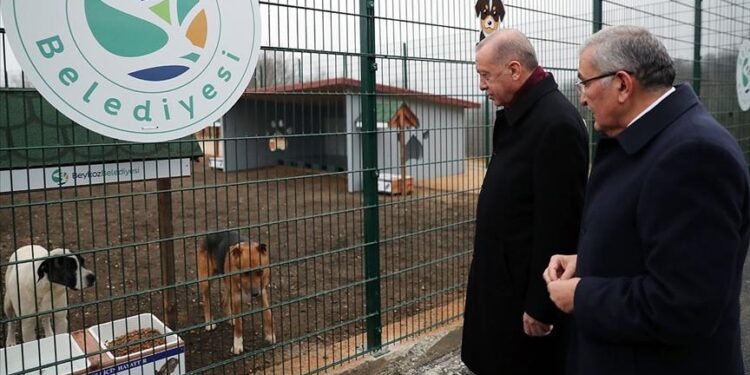 الرئيس أردوغان يتفقد مركزا لرعاية الحيوانات بإسطنبول