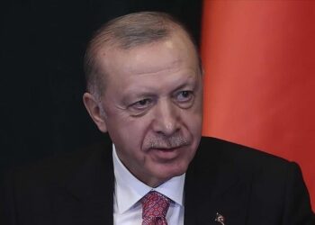 أردوغان يستبعد إقدام روسيا على غزو أوكرانيا