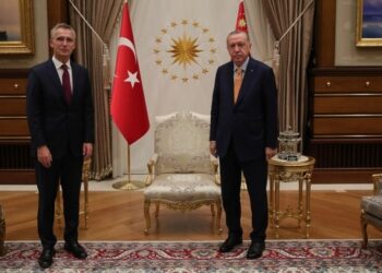 أردوغان وأمين عام الناتو يبحثان هاتفيا التعاون وقضايا إقليمية