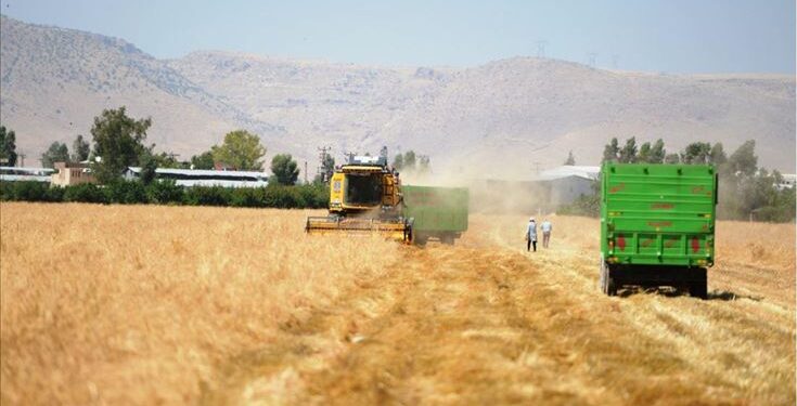 تركيا اوكرانيا تركيا قمح توريد