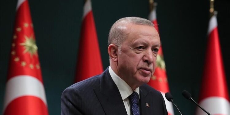 أردوغان: التدخل الروسي في أوكرانيا ضربة قاصمة لاستقرار المنطقة