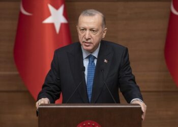 أردوغان: قصفنا الإرهابيين في 3 مناطق عبر “نسر الشتاء”