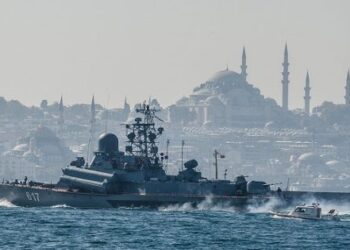 مسؤولة أمريكية: تركيا اتخذت خطوات قوية لمنع مرور السفن الحربية