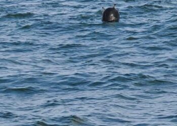 تركيا: فرق مختصة تتعامل مع جسم يشبه لغما بالبوسفور