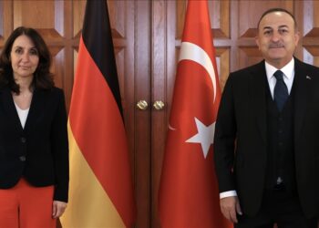 تشاووش أوغلو يبحث مع مسؤولة ألمانية التطورات في أوكرانيا