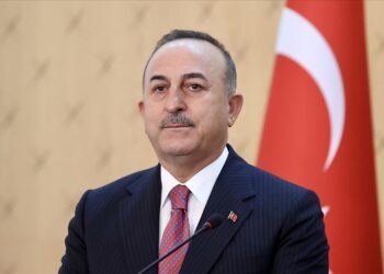 تشاووش أوغلو يبحث مع نظيريه الروسي والأوكراني مستجدات الأوضاع