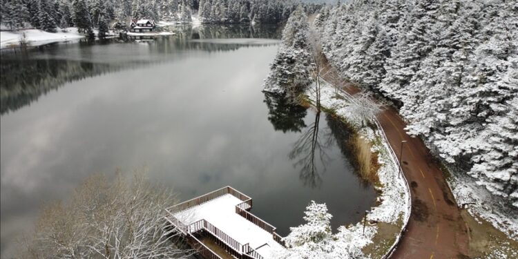 تركيا.. تساقط متقطع للثلوج في محميات بولو الطبيعية